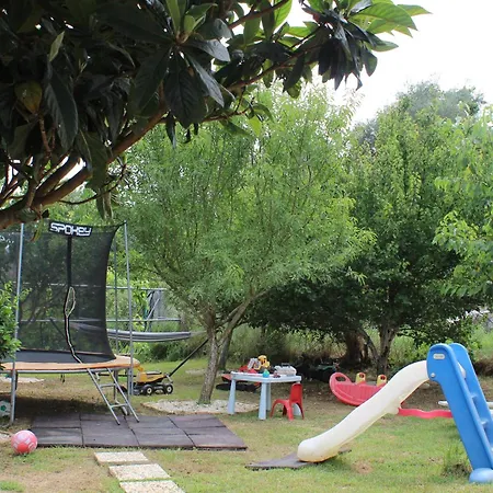 A&m House & Playground *